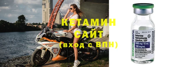 шишки Арсеньев