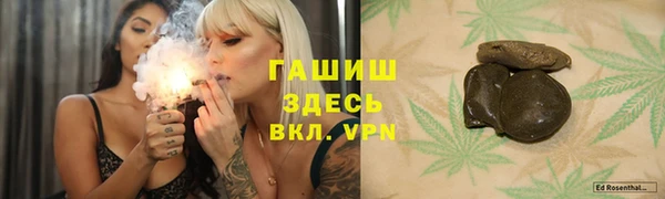 шишки Арсеньев
