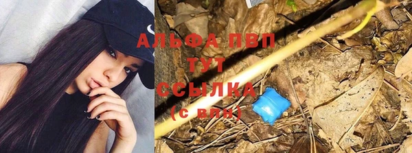 стафф Аркадак